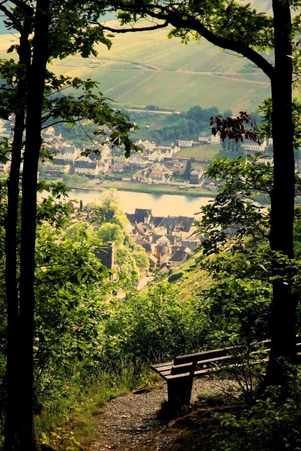 דירות צל אן דר מוזל Mosel Panorama מראה חיצוני תמונה