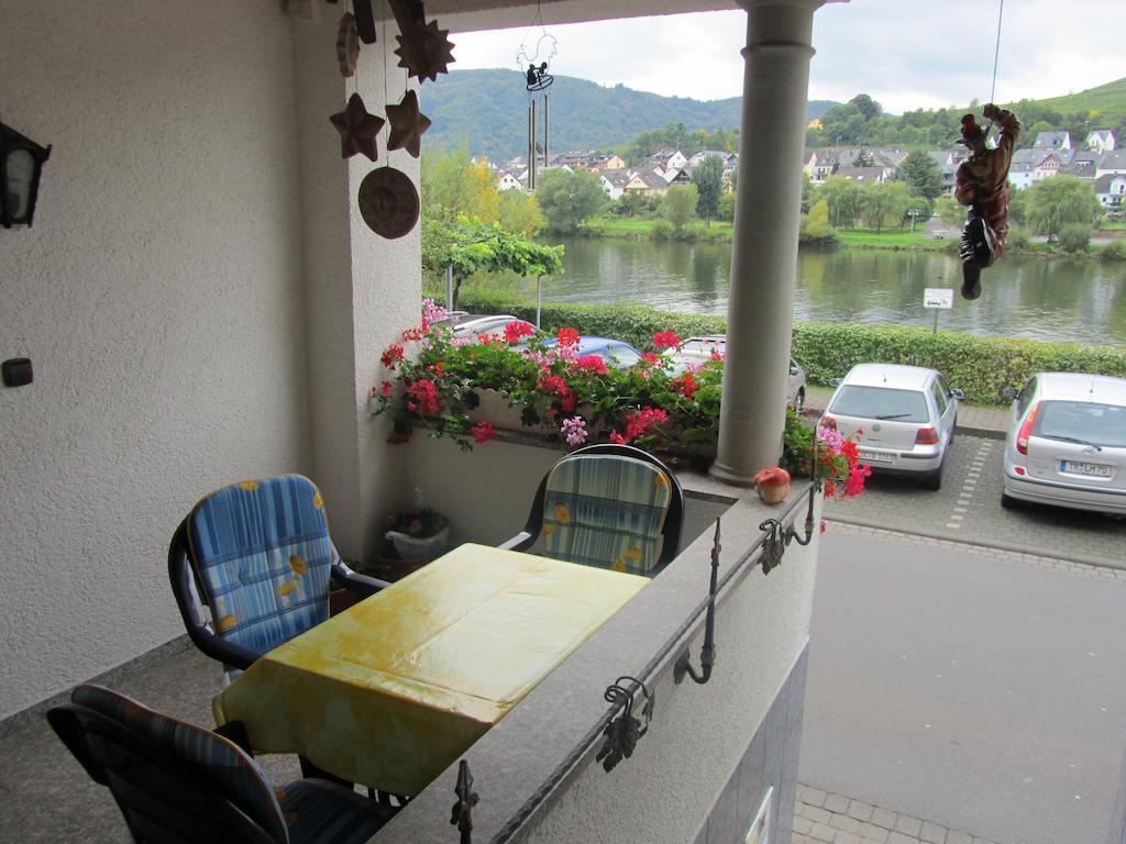 דירות צל אן דר מוזל Mosel Panorama מראה חיצוני תמונה