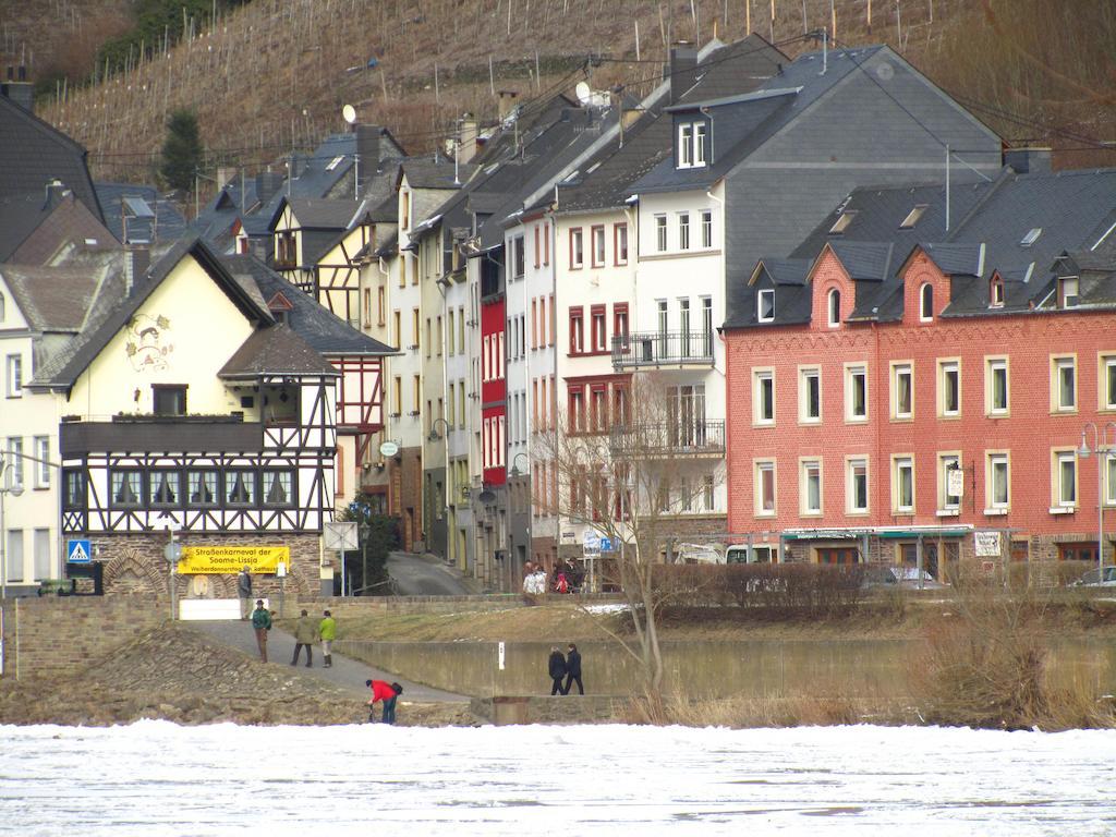 דירות צל אן דר מוזל Mosel Panorama מראה חיצוני תמונה