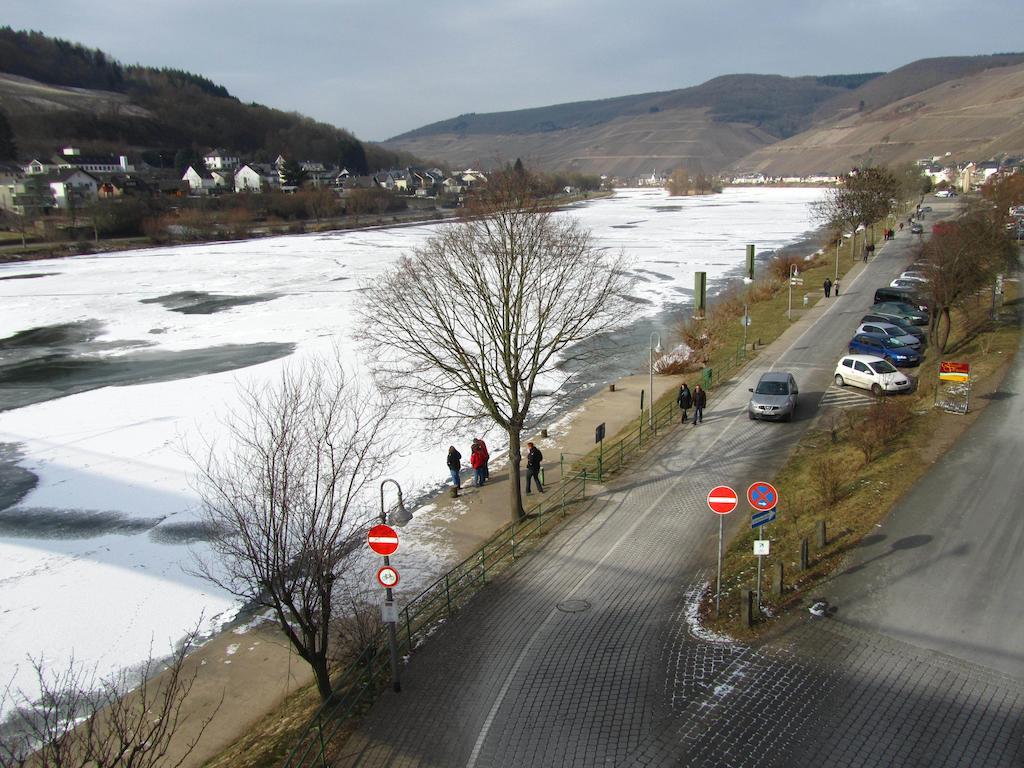דירות צל אן דר מוזל Mosel Panorama מראה חיצוני תמונה