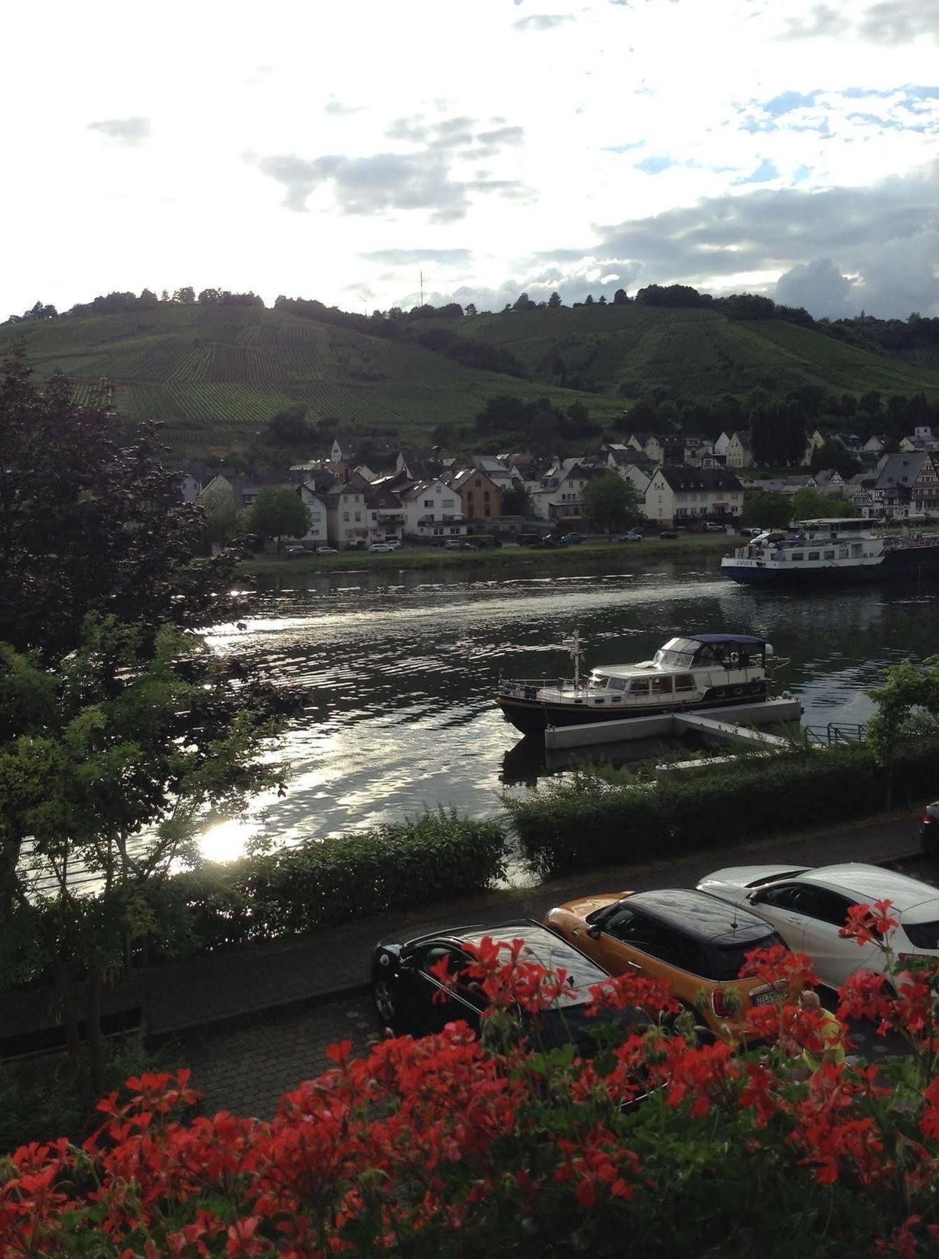 דירות צל אן דר מוזל Mosel Panorama מראה חיצוני תמונה