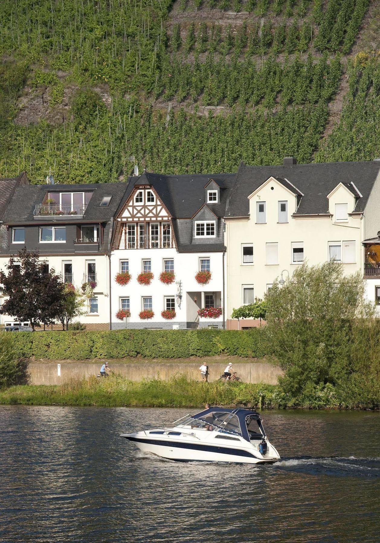 דירות צל אן דר מוזל Mosel Panorama מראה חיצוני תמונה