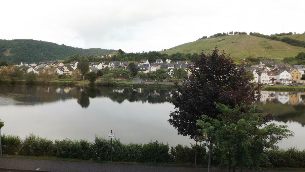 דירות צל אן דר מוזל Mosel Panorama מראה חיצוני תמונה