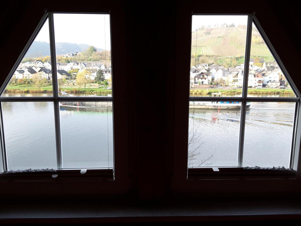 דירות צל אן דר מוזל Mosel Panorama מראה חיצוני תמונה
